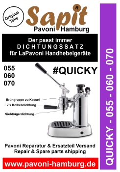 SAPIT 055 QUICKY - Wartung Brühgruppe 1979 bis 2005 zwischendurch